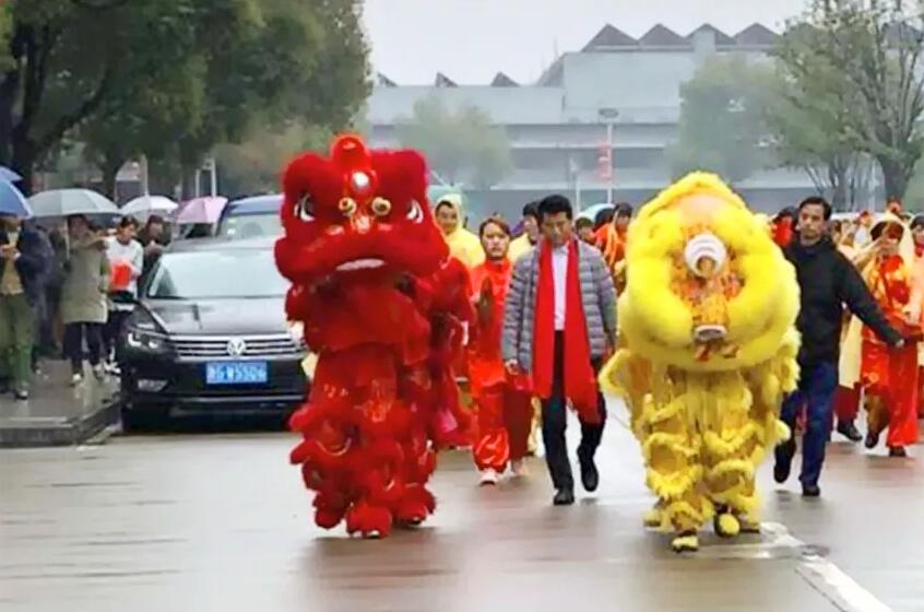 达利(中国):金猪贺岁 喜迎新年